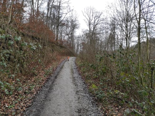Vom Felderbachtal über den Holterberg und Zipperberg