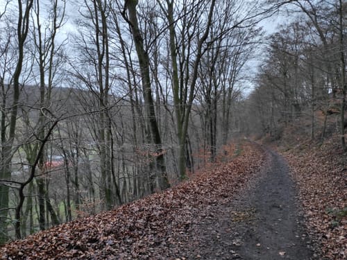 Vom Felderbachtal über den Holterberg und Zipperberg