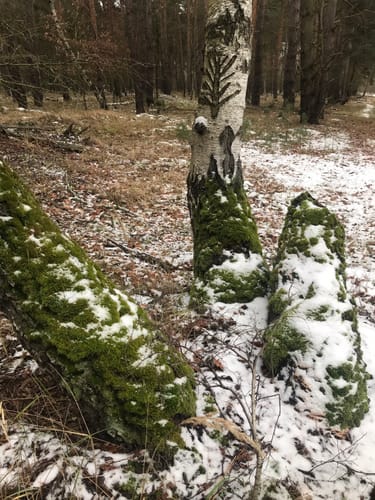 Rundwanderweg Frankenförde