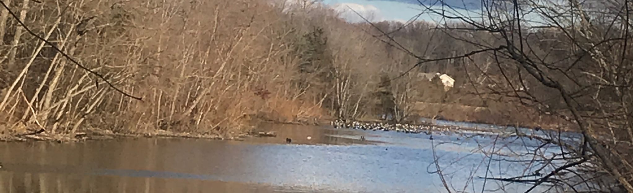 Lake Hallowell Loop Trail [PRIVATE PROPERTY], Maryland 86 Reviews