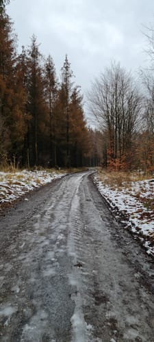 Rund um den Sorpesee