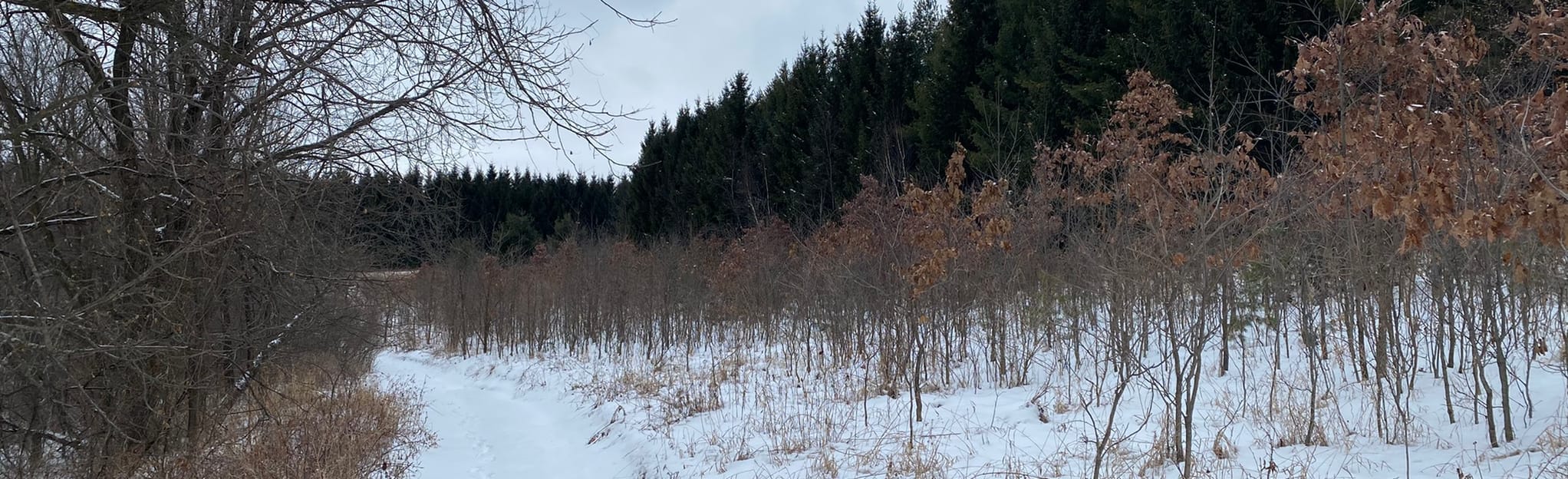 Escape to Serenity: Your Guide to Minnesota's Snake Creek Management Unit