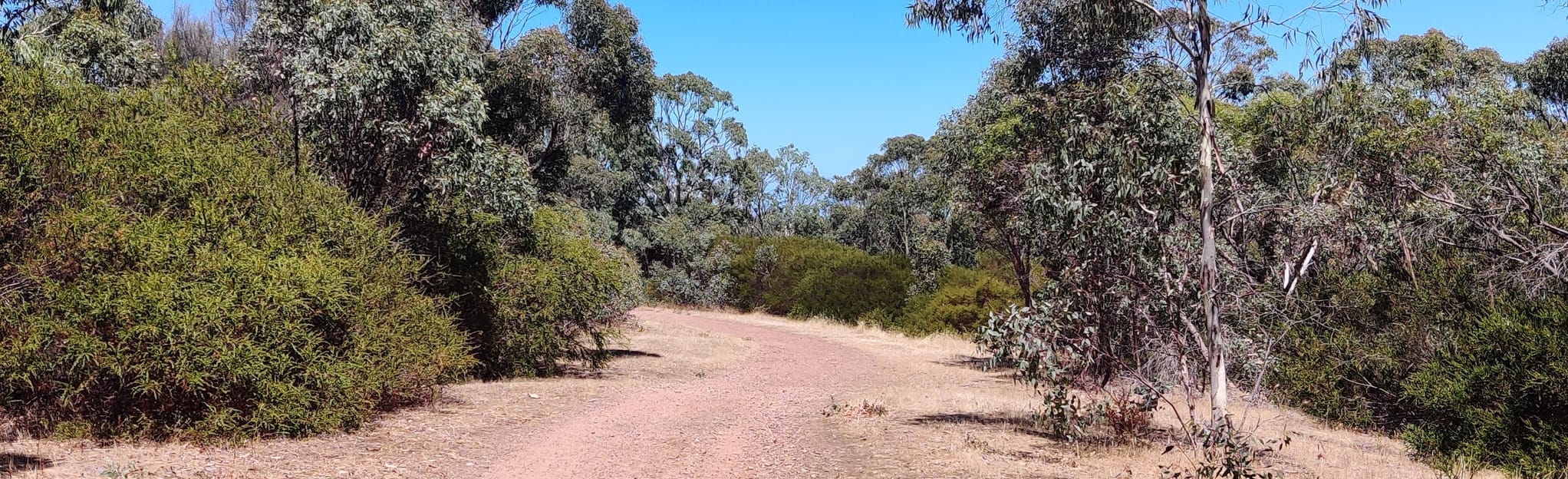 Onkaparinga River via Sundews Lookout, South Australia, Australia 47