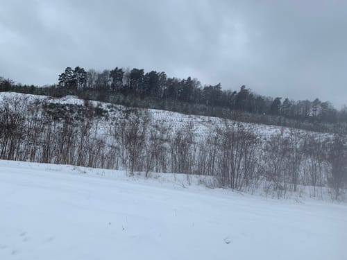 Spaziergang um Sallgast Süd