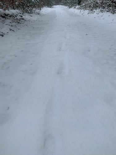 Spaziergang um Sallgast Süd