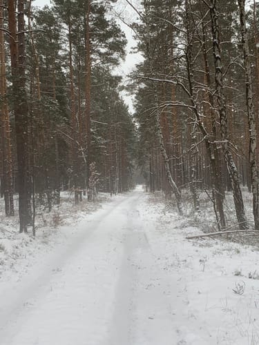 Spaziergang um Sallgast Süd