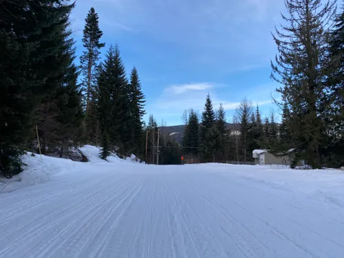 Best Hikes and Trails in Crystal Springs Sno-Park | AllTrails