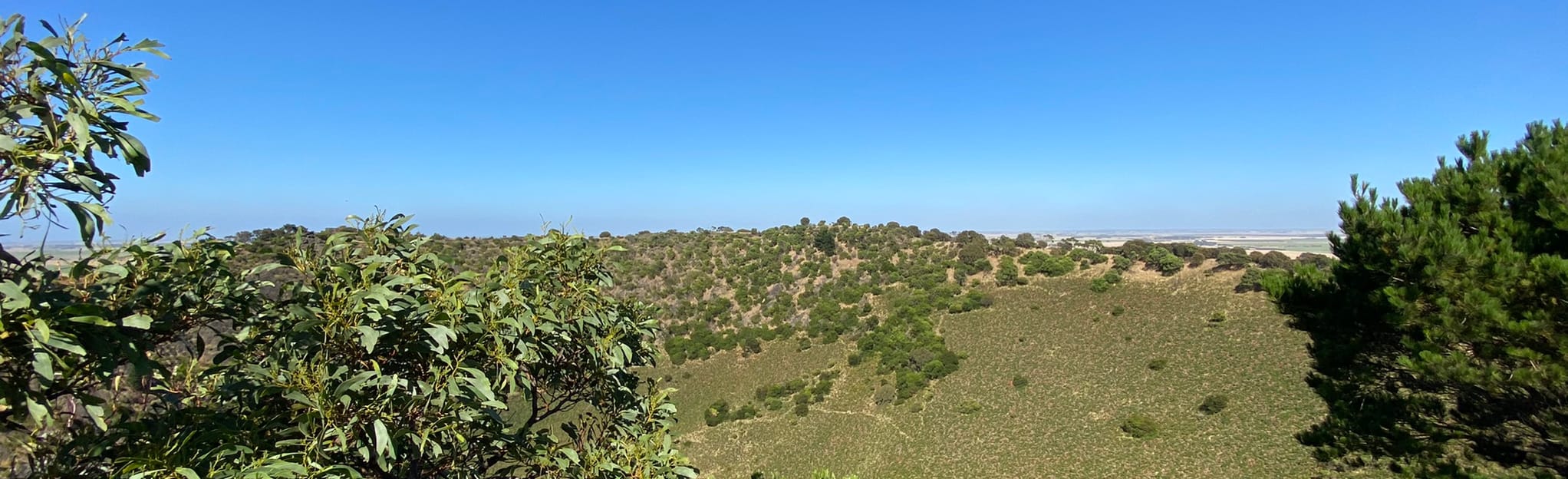 Mount Schank Crater Rim Walk 87 Reviews, Map South Australia
