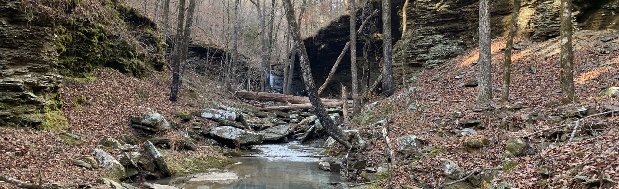Green Grotto Falls Arkansas AllTrails
