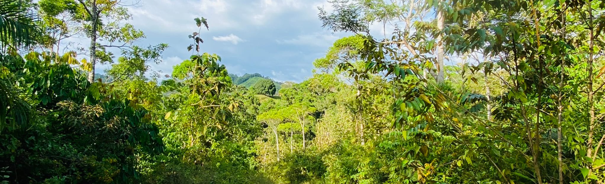 Bijagual Waterfall, San José, Costa Rica 52 Reviews, Map AllTrails