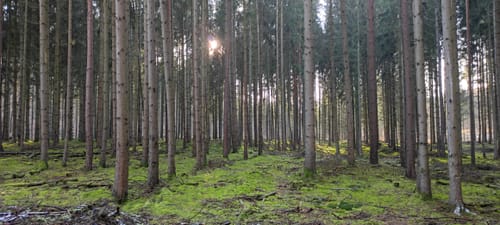 Rund um den Großen Lattsee