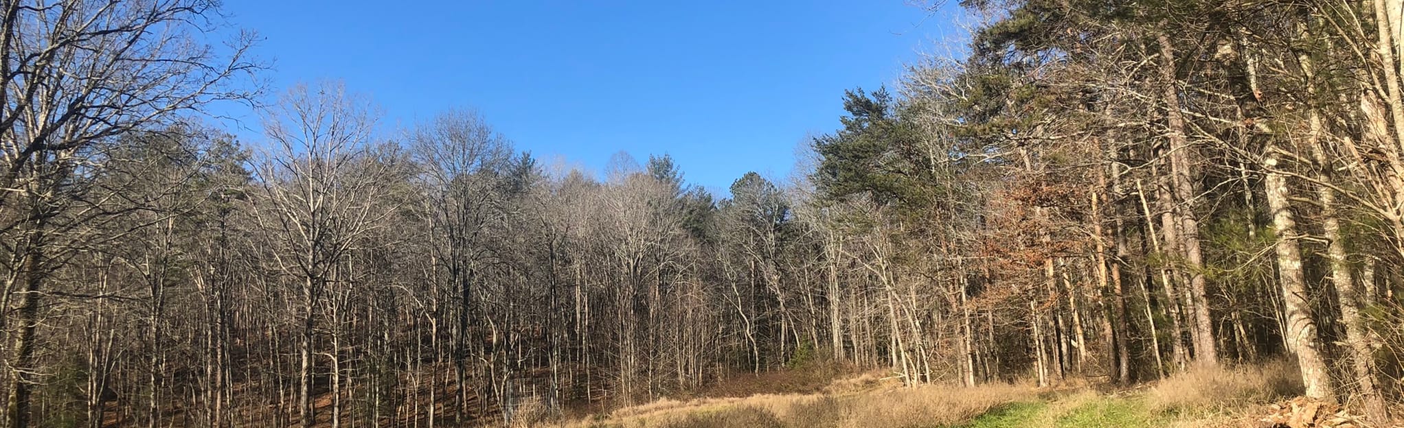 Cartecay River North Loop Trail, 264 Reviews, Map AllTrails