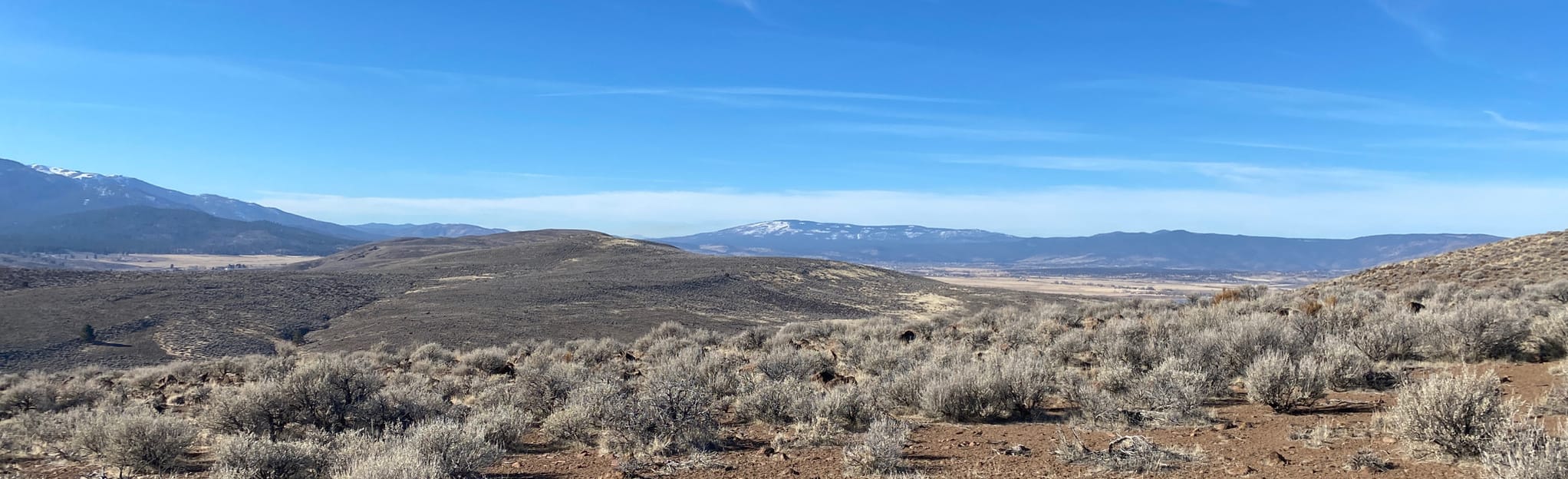 Bald Mountain Loop 21 Reviews, Map California AllTrails