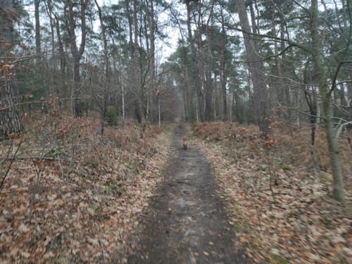 Die Haard: Drei Berge Route