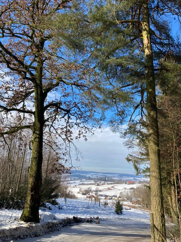 Bad Griesbach Forst Runde