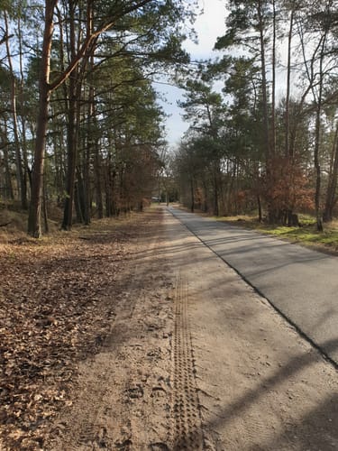 Radtour: Rund um Buchholz (29)