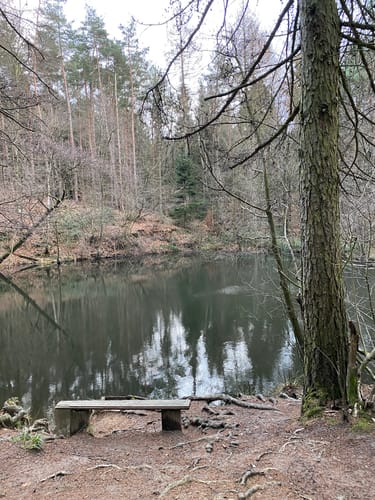 Liekwegen - Bückeberg