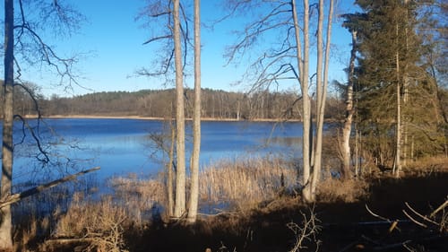 Seenrundwanderung bei Kobrow