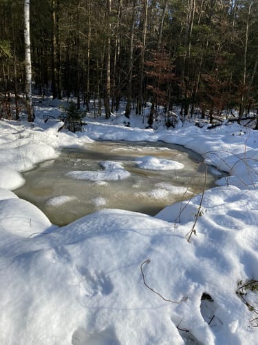 Oberuttlau Runde