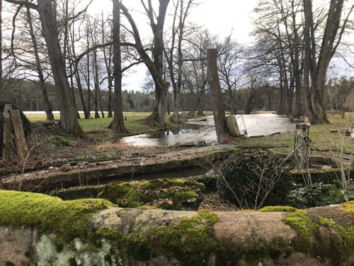 Rund um die Finstermühlweiher
