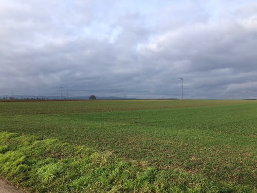 Weingarten, Freisbach, und Schwegenheim