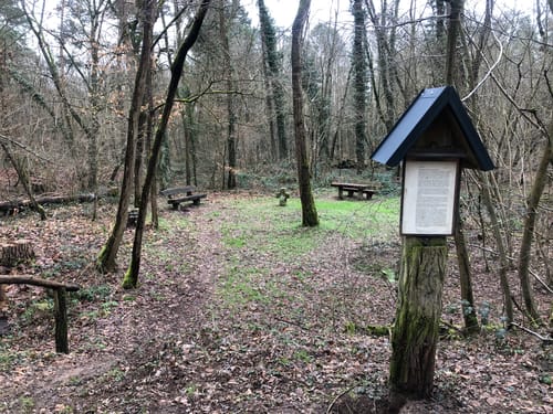 Weingarten, Freisbach, und Schwegenheim