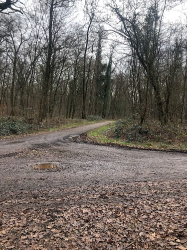 Weingarten, Freisbach, und Schwegenheim