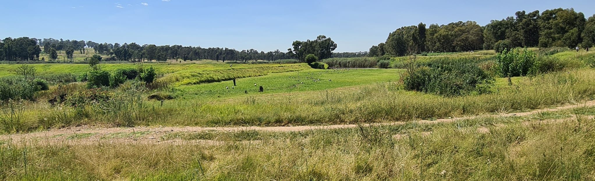 Modderfontein Dam No.4 Hike, Gauteng, South Africa 30 Reviews, Map