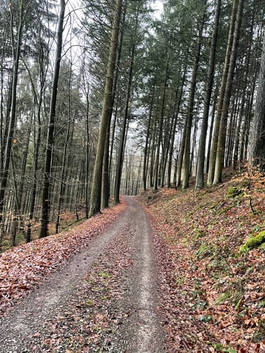 Erftal ab Hardheim
