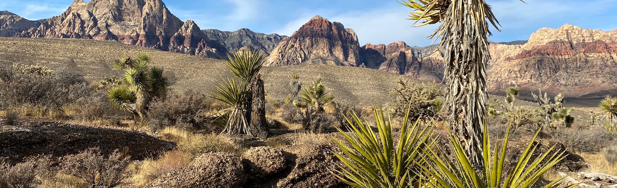 Fossil Canyon Map, Guide Nevada AllTrails