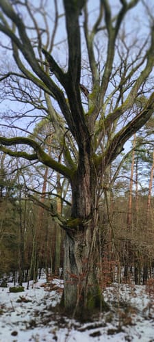 Rundweg: Prötzel - Blumenthal
