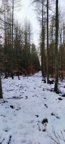 Rundweg: Prötzel - Blumenthal