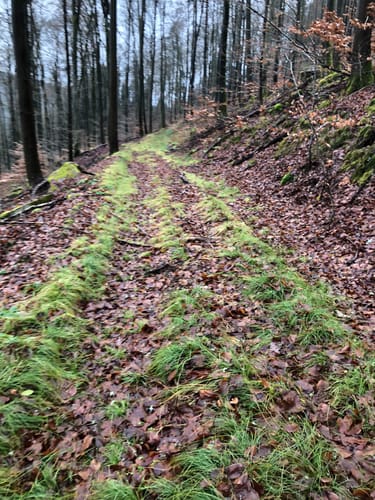 Erftal ab Hardheim