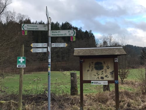 Route transfrontalière avec les Ruines du Château de Walschbronn