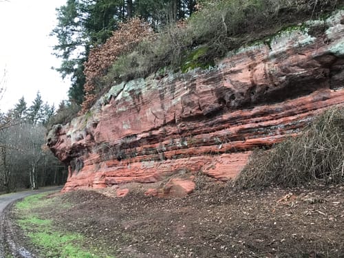 Route transfrontalière avec les Ruines du Château de Walschbronn