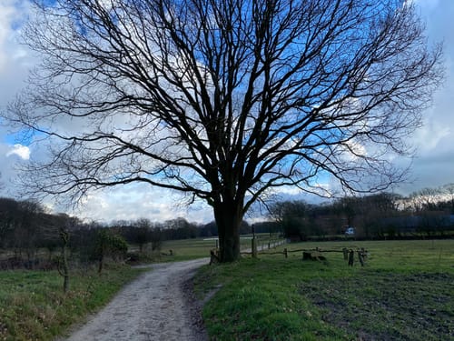 Oud Ootmarsum - Springendal - Hesingen