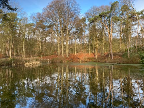 Oud Ootmarsum - Springendal - Hesingen