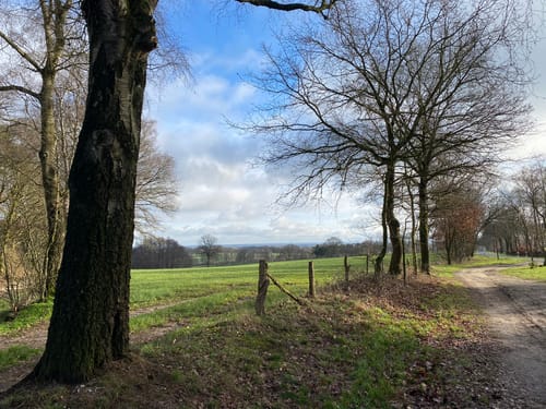 Oud Ootmarsum - Springendal - Hesingen