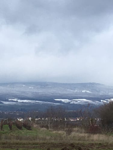 Gau-Algesheim: Rundweg Rabenschule