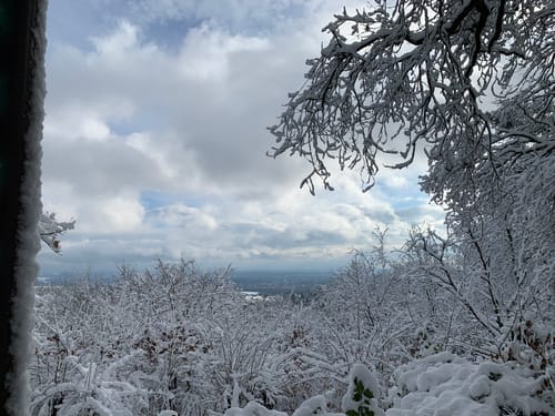 Kronberg - Altkönig - Fuchstanz