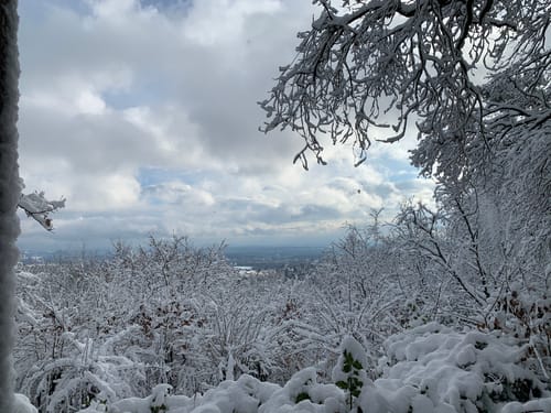 Kronberg - Altkönig - Fuchstanz