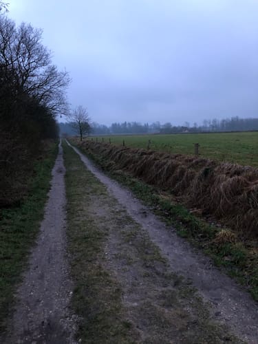 Runde in Halebüll