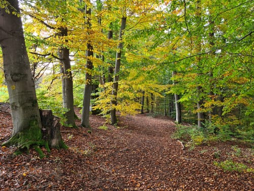 Rundwanderweg G1 Geiselwind