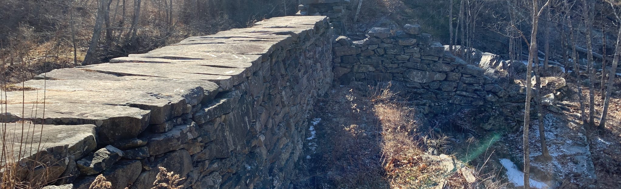 Mill Stream Trail Loop, Maine 2 Reviews, Map AllTrails