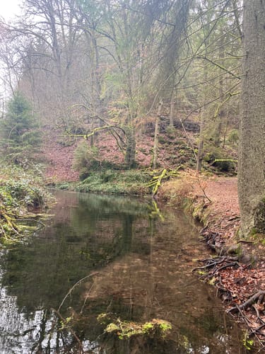 Durchs Waschtal