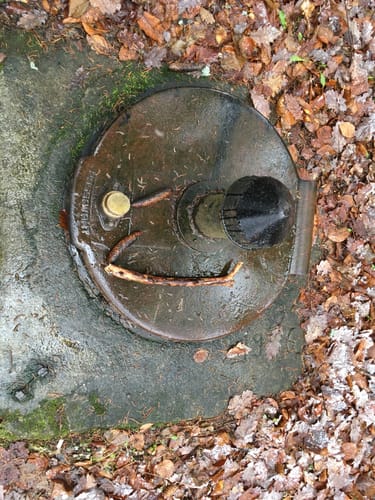 Runde bei Grebenau
