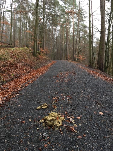 Runde bei Grebenau
