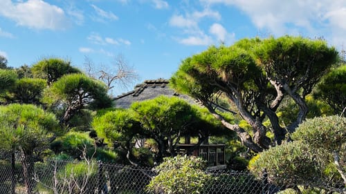 hayward japanese garden map