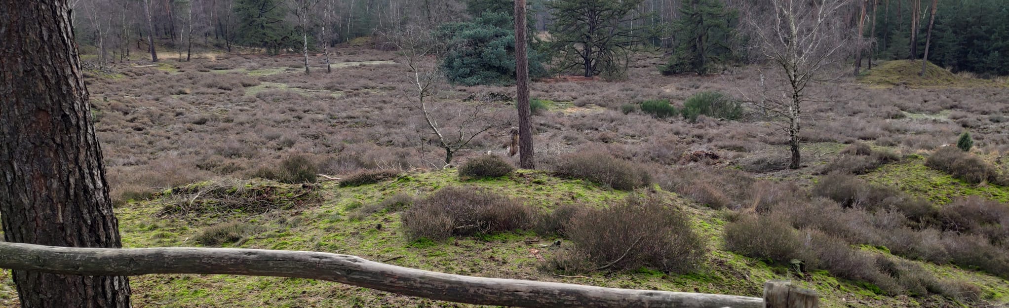 Wandelroute Stippels op de Stippelberg: 23 Reviews, Map - North Brabant ...