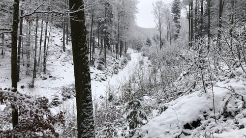 Leimen - Grübenköpfchen - Am Höchsten
